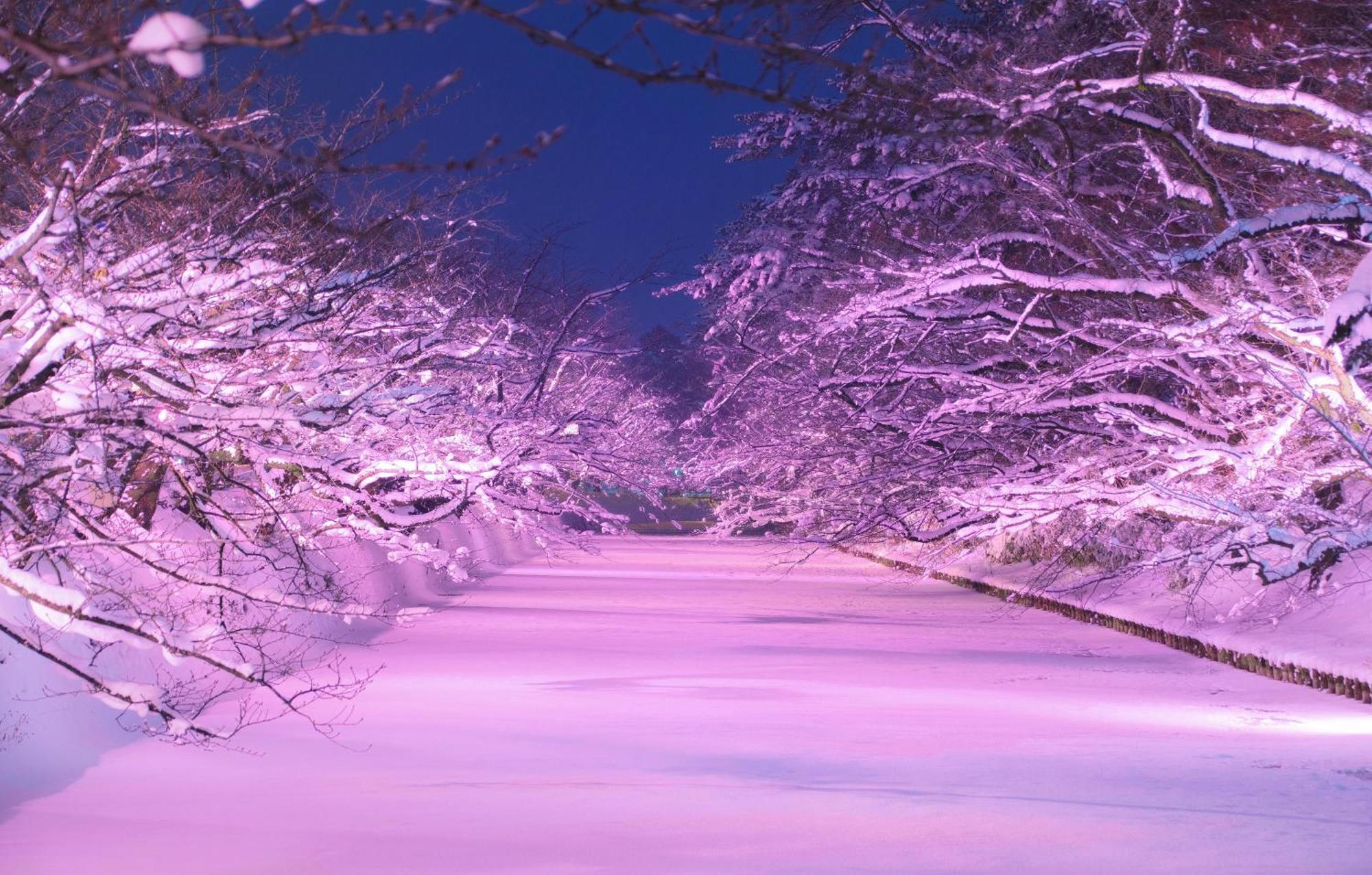 Hirosaki Park Hotel Аоморі Екстер'єр фото